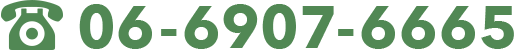 06-6907-6665